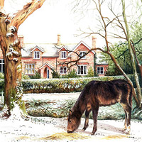 Karen Frampton, New Forest Artist, paintings, greeting cards, murals, slate, Hampshire, UK